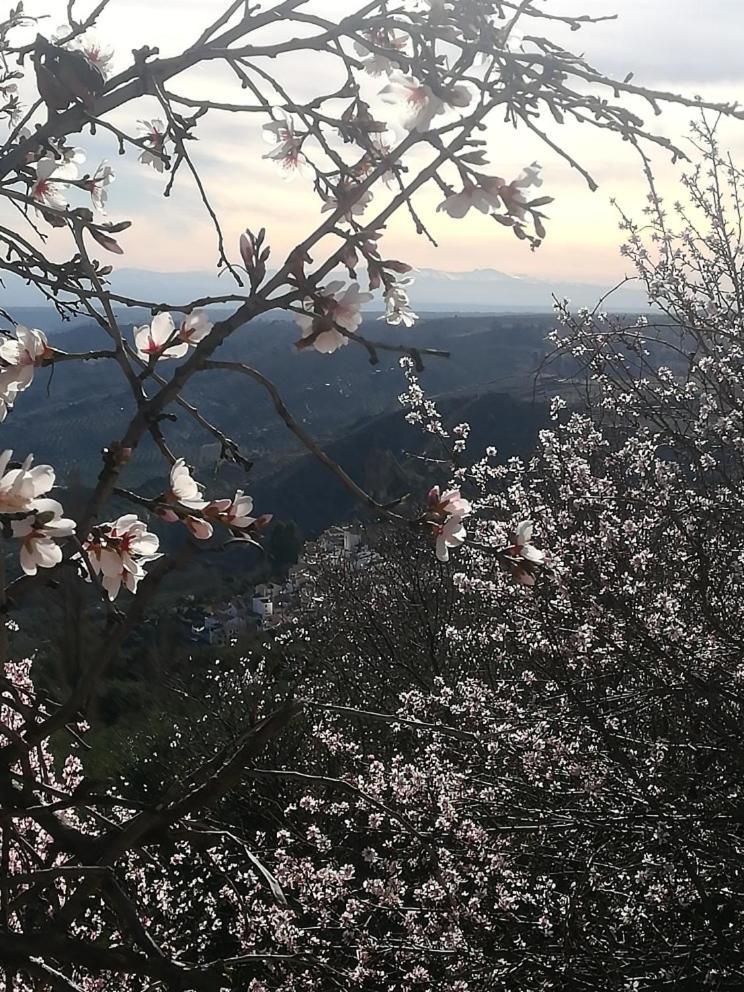 Вілла El Mirador De Castril - Granada Екстер'єр фото